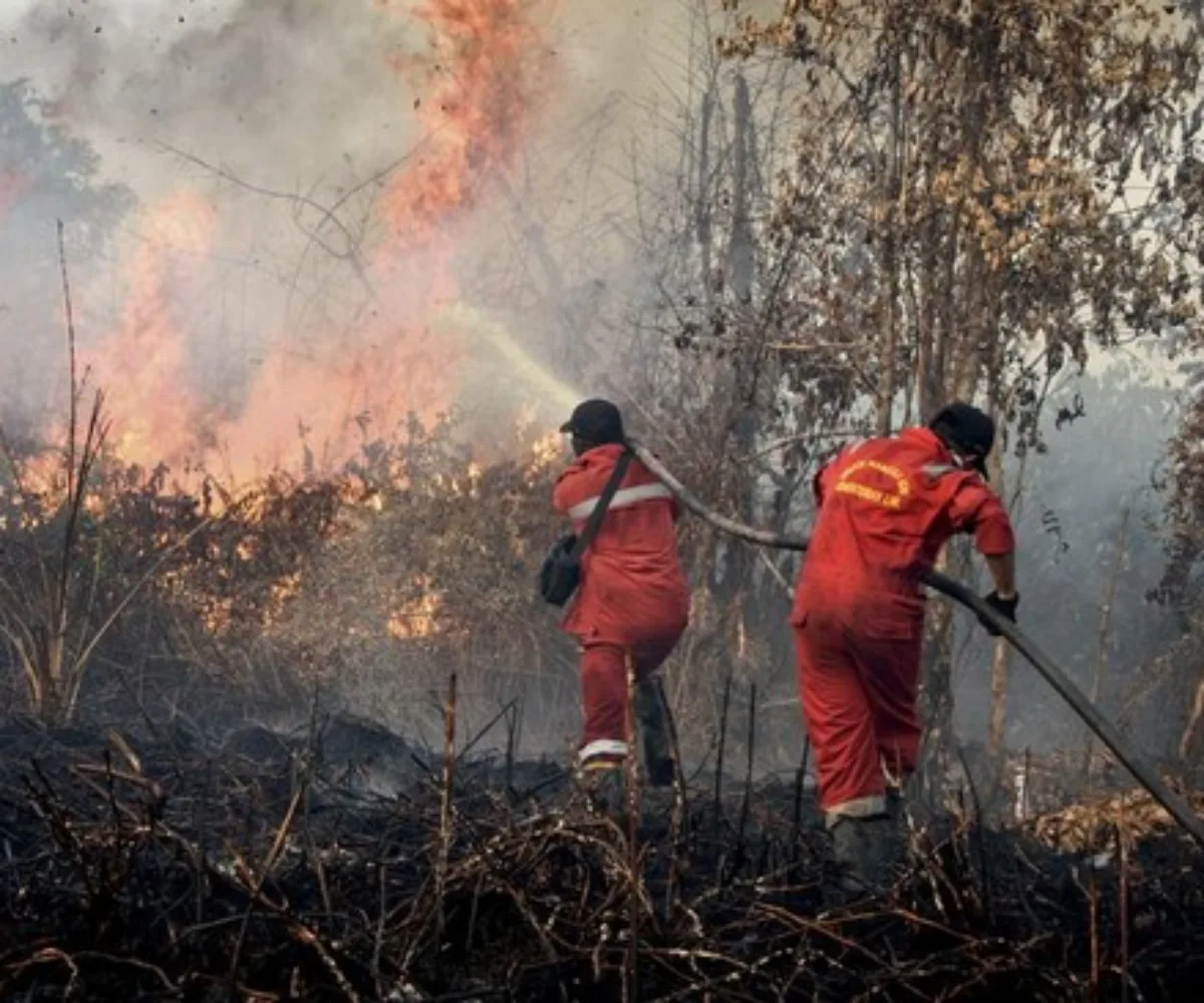 Riau Dikepung 491 Hotspot, Pelalawan dan Inhil Paling Mengkhawatirkan
