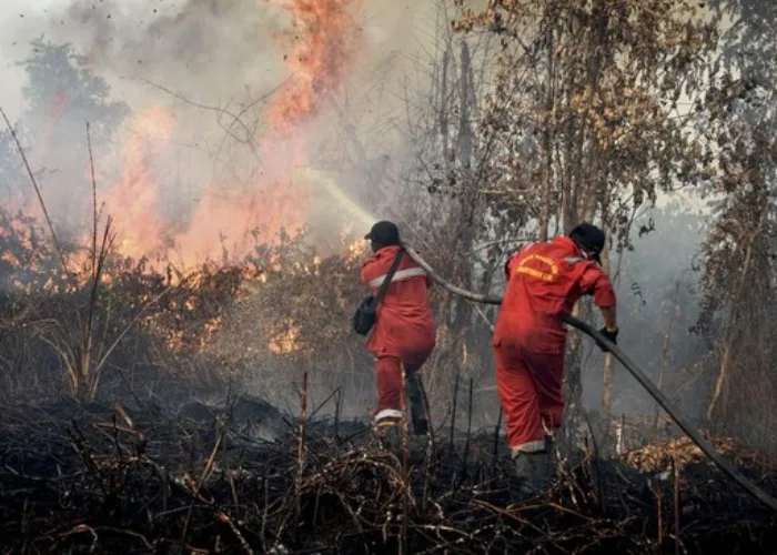 Riau Dikepung 491 Hotspot, Pelalawan dan Inhil Paling Mengkhawatirkan