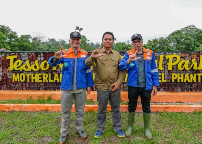 Upaya Menjaga Ekosistem Riau, PT BSP Pulihkan 772 Hektare di Tesso Nilo