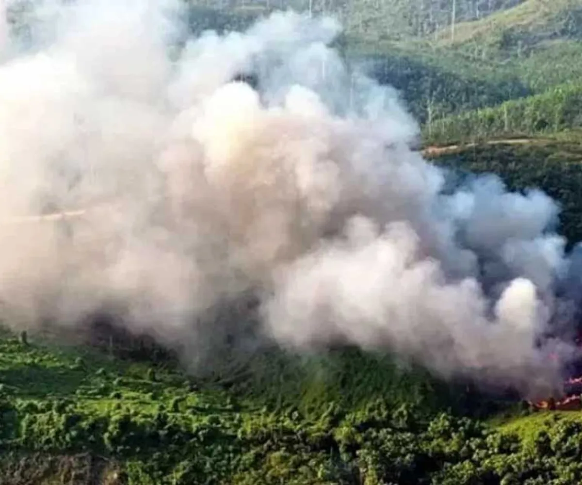 Alarm Karhutla Riau Menguat: 317 Hotspot Terdeteksi, Terjadi Lonjakan 167 Titik