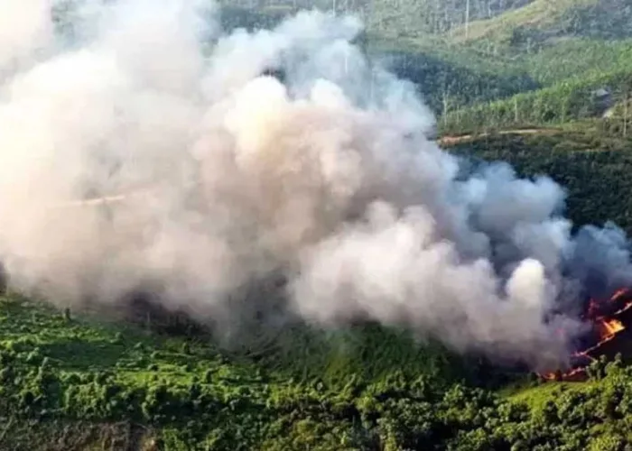 Alarm Karhutla Riau Menguat: 317 Hotspot Terdeteksi, Terjadi Lonjakan 167 Titik