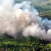 Dari 123 Kini Tersisa 44 Titik, Hotspot Riau Anjlok dalam Sehari