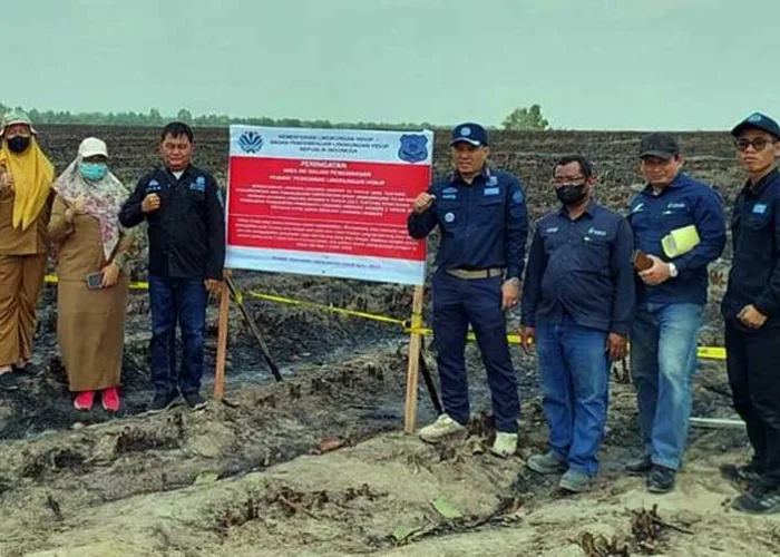 KLH Segel 50 Korporasi, 27.333 Hektare Lahan Terbakar, Polisi Tetapkan 138 Tersangka