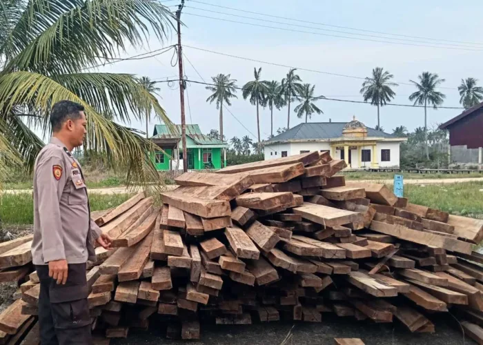 Polisi Gagalkan Peredaran 10 Ton Kayu Olahan Tanpa Dokumen di Sinaboi