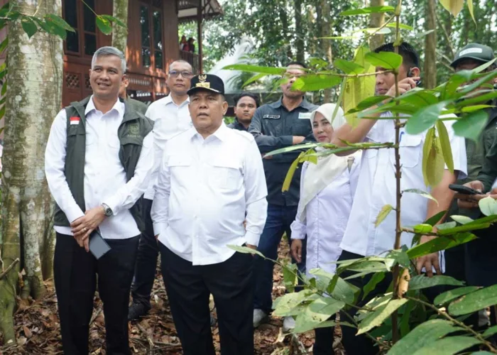 451 Ribu Hektare Gambut Riau Dipulihkan, Tanjung Leban Disiapkan Jadi Model Restorasi