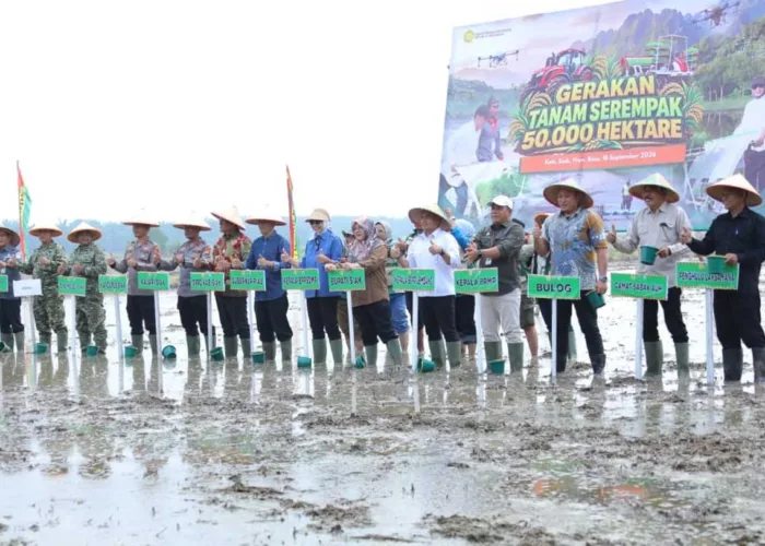 Tanam Padi Serempak 50.000 Hektare, Siak Punya Target Besar Bisa Panen 3 Kali