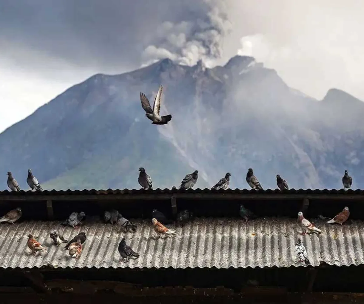 Level Gunung Sinabung Naik Siaga, 615 Warga Karo Mengungsi ke Posko