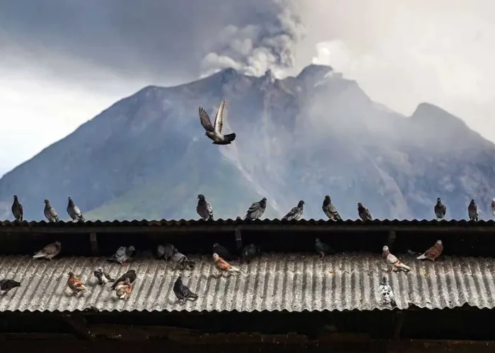 Level Gunung Sinabung Naik Siaga, 615 Warga Karo Mengungsi ke Posko