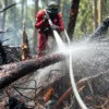 Karhutla Riau Belum Reda, Api Kembali Muncul di Empat Penjuru Desa Kuantan Babu Inhu