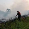 Udara Makin Tak Sehat, Dharmasraya Naikkan Status Siaga 1 Karhutla, Bagikan 100 Ribu Masker