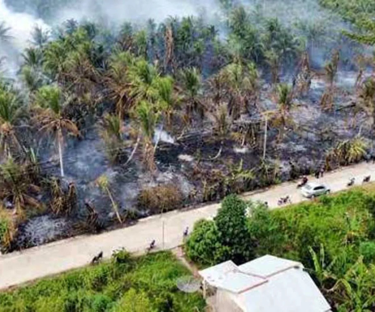 Lahan Gambut Mengering, Perkebunan Kelapa di Inhil Terbakar