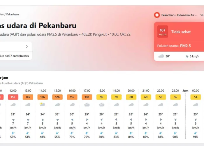 PM2.5 Tembus 78,3 µg/m³, Kualitas Udara Pekanbaru Masih Tak Sehat