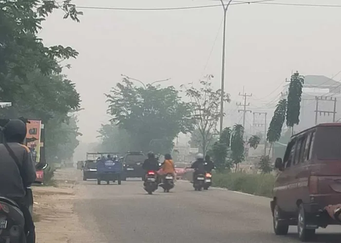 4.806 Hotspot Kepung Sumatera, Riau Berselimutkan Asap, Lindungi Pernafasan!