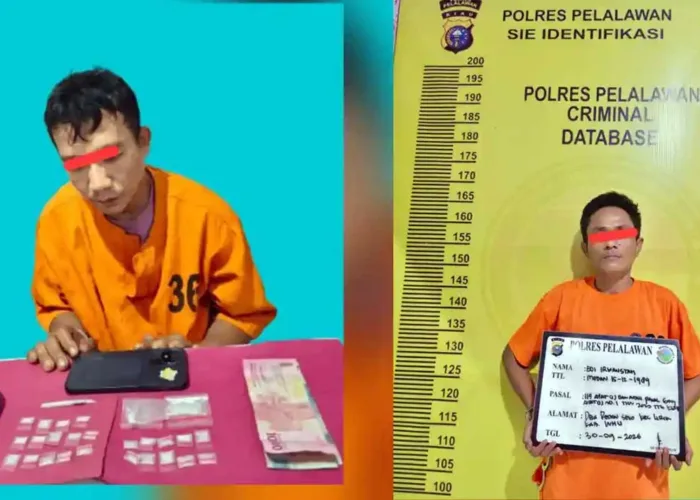 Duduk Menunggu Pembeli di Kebun Sawit, Polisi Ciduk Pria di Pelalawan Bawa 26 Paket Sabu