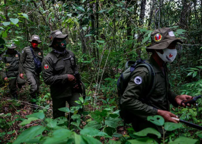 Perketat Penjagaan Kawasan Hutan, Prabowo Targetkan Penambahan 70 Ribu Polisi Hutan