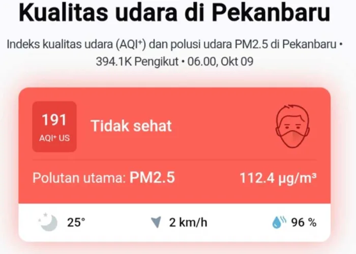 Udara Pekanbaru Masuk Kategori Tidak Sehat, PM2.5 Tembus 117,4 µg/m³